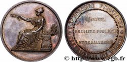 TROISIÈME RÉPUBLIQUE Médaille, Conseil d’hygiene publique et de salubrité