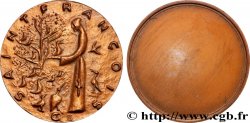 MÉDAILLES RELIGIEUSES Médaille, Saint François d’Assise