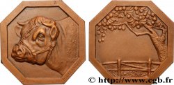 III REPUBLIC Médaille, Tête de taureau