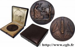III REPUBLIC Médaille, Comptoir française de l’Azote