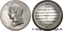 SÉRIE MÉTALLIQUE DES ROIS DE FRANCE Médaille, Louis XVIII - 68 - refrappe ultra-moderne