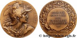ASSOCIATIONS PROFESSIONNELLES - SYNDICATS. XIXe Médaille, Comité central des chambres syndicales