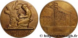 FUNFTE FRANZOSISCHE REPUBLIK Médaille de mérite EDF / GDF
