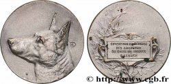 SOCIÉTÉ CANINE - CHIENS ET CONCOURS Médaille, Réunion des amateurs du chien de berger d’Alsace