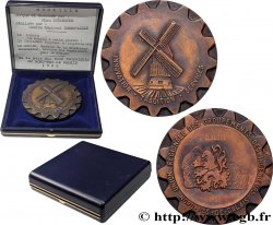 V REPUBLIC Médaille, Union Régionale des Groupements des Ingénieurs