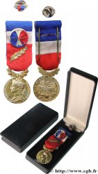 CINQUIÈME RÉPUBLIQUE Médaille d’honneur du Travail, Ministère du Travail