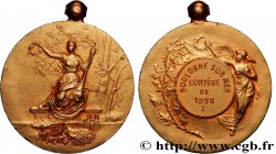 TROISIÈME RÉPUBLIQUE Médaille, Cortège
