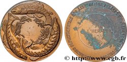 FUNFTE FRANZOSISCHE REPUBLIK Médaille, Fédération départementale des associations agrées de pêche et de pisciculture de l’Hérault