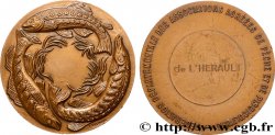 QUINTA REPUBLICA FRANCESA Médaille, Fédération départementale des associations agrées de pêche et de pisciculture de l’Hérault
