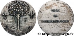 TOWNS AND TOWN HALLS Médaille, La pommeraye sur Loire