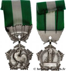 V REPUBLIC Médaille, Collectivités locales