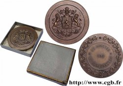 NETHERLANDS Médaille, Ministère de la santé publique