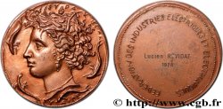V REPUBLIC Médaille, Fédération des Industries Électriques