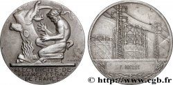 CINQUIÈME RÉPUBLIQUE Médaille de mérite EDF / GDF