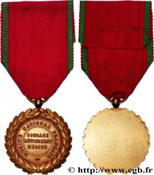 V REPUBLIC Médaille, Mérite national français