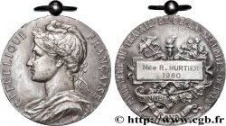 V REPUBLIC Médaille, Honneur du travail, Ministère du Travail et de la Sécurité Sociale