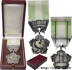 V REPUBLIC Médaille, Collectivités locales