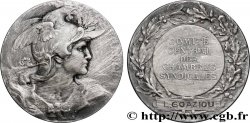 ASSOCIATIONS PROFESSIONNELLES - SYNDICATS Médaille, Comité central des chambres syndicales