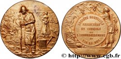 III REPUBLIC Médaille, Société d’horticulture maraîchère et viticole