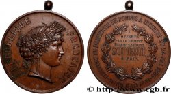 TROISIÈME RÉPUBLIQUE Médaille, Manoeuvre de pompes à incendie