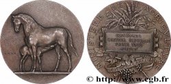 TROISIÈME RÉPUBLIQUE Médaille, Concours central hippique de Paris, Jury