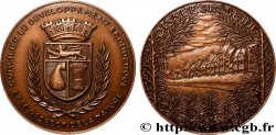 V REPUBLIC Médaille, Oissel-sur-Seine