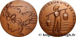 V REPUBLIC Médaille, Syndicat des eaux d’Île-de-France