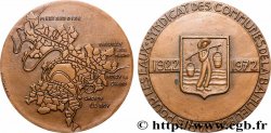 V REPUBLIC Médaille, Syndicat des communes de la banlieue de Paris pour les eaux