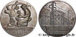 FUNFTE FRANZOSISCHE REPUBLIK Médaille de mérite EDF / GDF