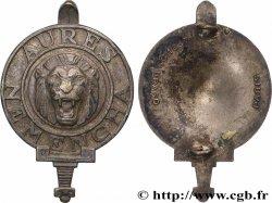 COLONIES ET DÉPARTEMENTS D&nbsp;OUTRE-MER Insigne, 421e régiment d&nbsp;artillerie anti-aérienne