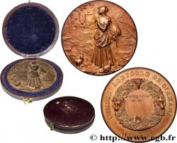 TROISIÈME RÉPUBLIQUE Médaille, Comice agricole de Saint Amand