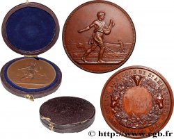 TROISIÈME RÉPUBLIQUE Médaille, Comice agricole de Saint Amand