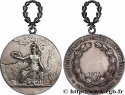 III REPUBLIC Médaille, Société d’encouragement à l’instruction
