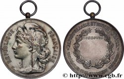 TROISIÈME RÉPUBLIQUE Médaille, Alfortvillaise et Avenir réunies