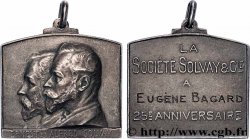 ENTREPRISES, INDUSTRIES ET COMMERCES DIVERS Plaquette, Ernest et Alfred Solvay
