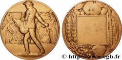 SOCIÉTÉS D&nbsp;AGRICULTURE, HORTICULTURE, PÈCHE ET CHASSE Médaille, Retour à la terre, le Semeur