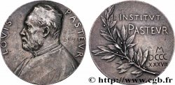 III REPUBLIC Médaille, Louis Pasteur