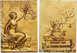 III REPUBLIC Médaille, Offert par la Petite Gironde