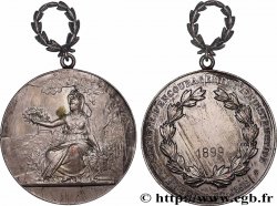 TERCERA REPUBLICA FRANCESA Médaille, Société d’encouragement à l’instruction