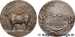 III REPUBLIC Médaille, Société d’agriculture, Concours d’animaux reproducteurs