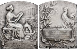 III REPUBLIC Médaille, Caisse d’écoles, prix de bonne camaraderie