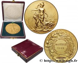 TERCERA REPUBLICA FRANCESA Médaille, Exposition internationale