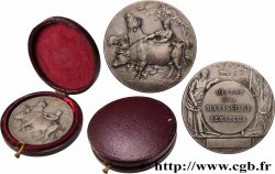 TERCERA REPUBLICA FRANCESA Médaille, Offert par sénateur