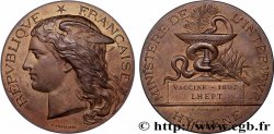TERCERA REPUBLICA FRANCESA Médaille, Hygiène, Vaccine