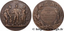 DRITTE FRANZOSISCHE REPUBLIK Médaille PRO PATRIA, offerte par la Confiance