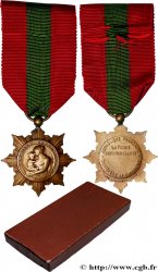 TERCERA REPUBLICA FRANCESA Médaille, Famille Française, Ministère de la santé publique et de la population