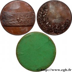 TROISIÈME RÉPUBLIQUE Médaille, Natation