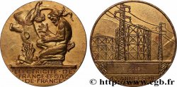FUNFTE FRANZOSISCHE REPUBLIK Médaille de mérite EDF / GDF