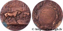 DRITTE FRANZOSISCHE REPUBLIK Médaille, Concours, Syndicat général de l’industrie chevaline