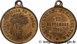 DRITTE FRANZOSISCHE REPUBLIK Médaille,